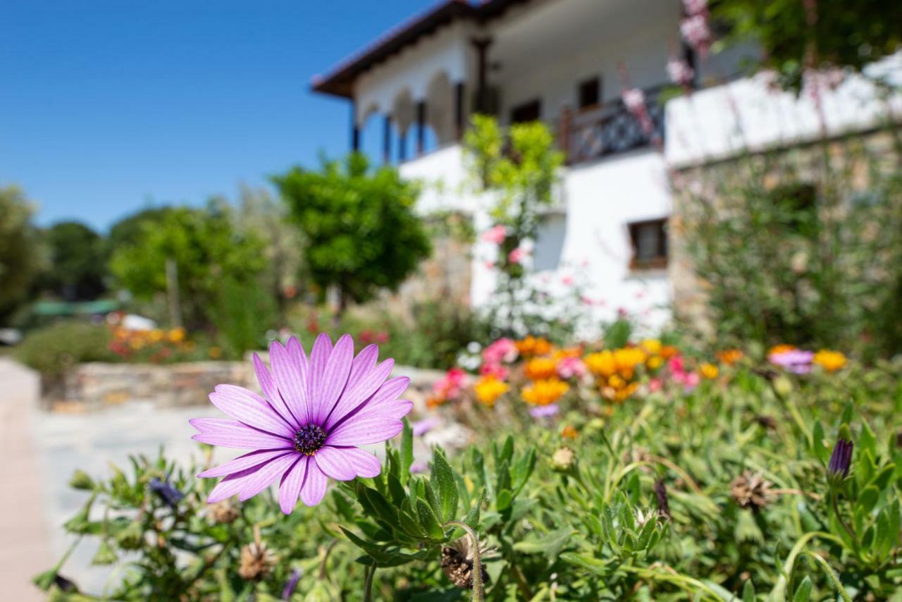 Апартаменты Garden House Psarogiannis Вурвуру Экстерьер фото
